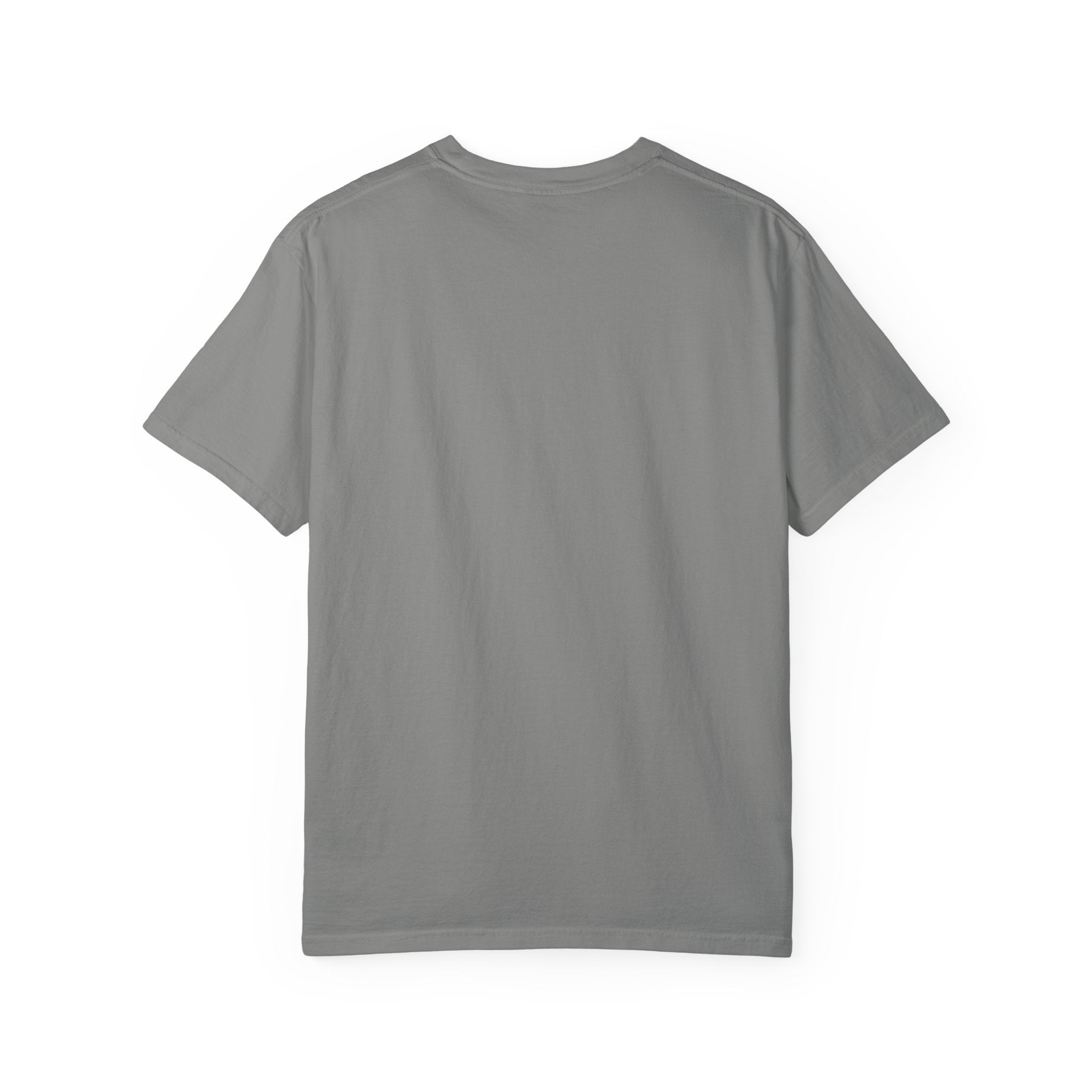 USA 250 Hot Dog T-Shirt